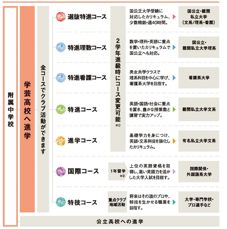 附属中学校卒業後の進路