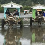 水牛車で出発！