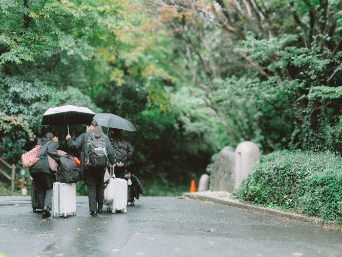 当日は朝から雨になりました