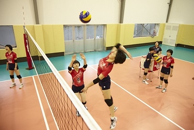 バレーボール部 女子 クラブカテゴリー 大阪学芸高等学校 Osaka Gakugei Senior High School