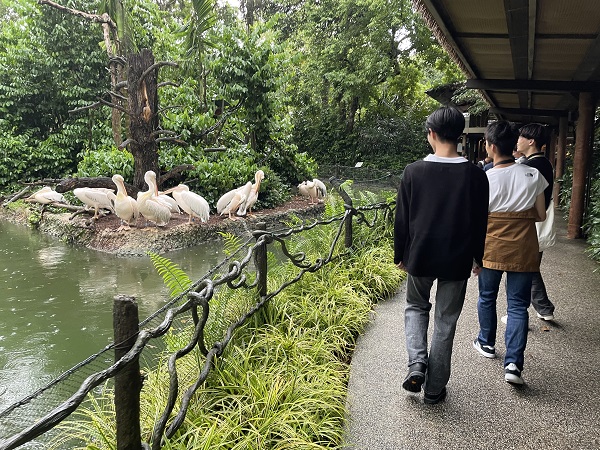 シンガポール動物園