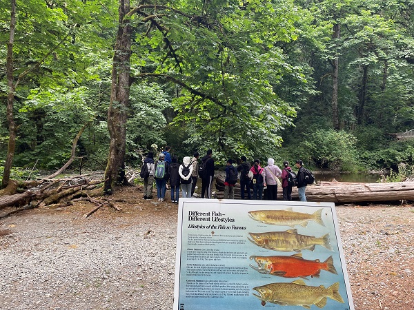 ゴールドストリーム州立公園